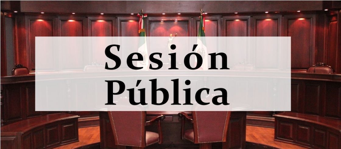 Sesión Pública Virtual - 14 de junio de 2024
